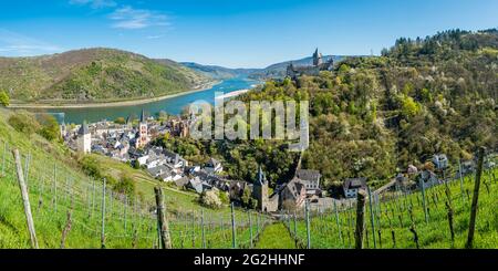 'Ancienne maison', Bacharach, château, sentier du château, maison de Sickingen, Auberge de jeunesse, église, tour du marché, Rhin moyen, coin, Vallée du Rhin moyen supérieur, tour de poste, Rhin, expédition, été, St. Peter, tours de ville, Stahleck, Steeg, vallée de Steeger, Patrimoine mondial, site du patrimoine mondial, Chapelle Werner Banque D'Images