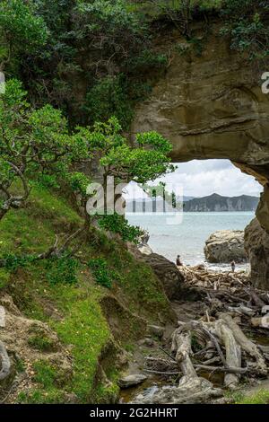 Cook's Cove dans la baie de Tolaga, randonnée jusqu'à la baie, le capitaine Cook a interrompu son voyage en 1769 pour réparer l'Endeavour et prendre des provisions fraîches à bord., district de Gisborne, île du Nord, Nouvelle-Zélande Banque D'Images