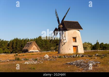 Moulin à vent et cabane à moutons de chaume, lumière du matin, Suède, île de Farö Banque D'Images