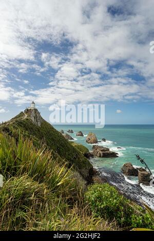 Phare de Nugget point / Tokata & Roaring Bay, Catlins, South Island, Nouvelle-Zélande Banque D'Images