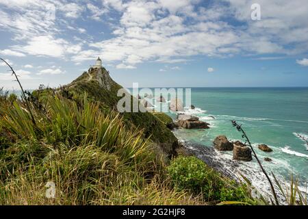 Phare de Nugget point / Tokata & Roaring Bay, Catlins, South Island, Nouvelle-Zélande Banque D'Images