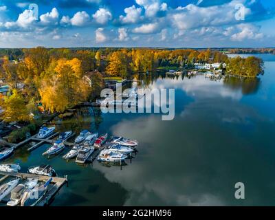 Schwielochsee près de Goyatz Banque D'Images