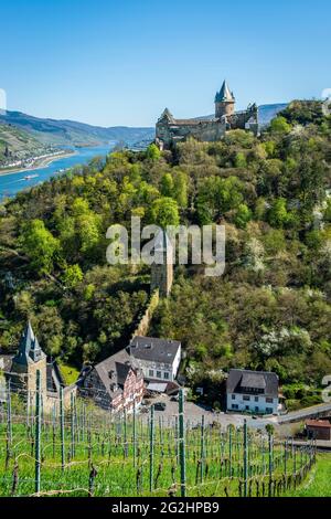 Bacharach, château, sentier du château, auberge de jeunesse, église, Tour du marché, Rhin moyen, coin, vallée du Rhin moyen supérieur, tour de poste, Rhin, expédition, été, St. Peter, tours de ville, Stahleck, Steeg, vallée de Steeger, Patrimoine mondial, patrimoine culturel mondial, chapelle Werner Banque D'Images