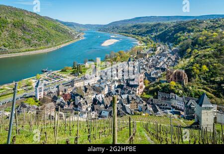 Bacharach, château, sentier du château, auberge de jeunesse, église, Tour du marché, Rhin moyen, coin, vallée du Rhin moyen supérieur, tour de poste, Rhin, expédition, été, St. Peter, tours de ville, Stahleck, Steeg, vallée de Steeger, Patrimoine mondial, patrimoine culturel mondial, chapelle Werner Banque D'Images