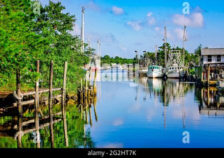 Des bateaux à crevettes sont amarrés dans le Bayou, le 9 juin 2021, à Bayou la Batre, Alabama. L'industrie des fruits de mer est la principale industrie du petit village de pêcheurs. Banque D'Images