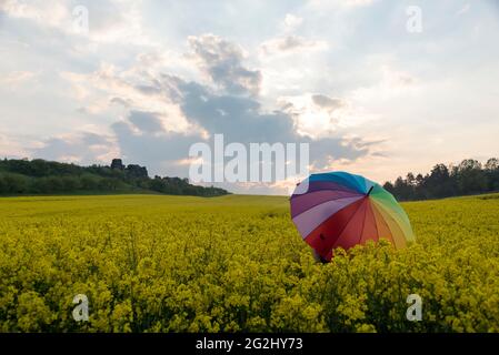 Allemagne, Saxe-Anhalt, Weddersleben, une personne est titulaire d'un parapluie aux couleurs de l'arc-en-ciel, champ de graines de colza à fleurs au Teufelsmauer dans les montagnes du Harz Banque D'Images