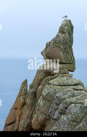 Rochers couverts de lichen à Pointe de Pern, Île d’Ouessant, France, Bretagne, département du Finistère Banque D'Images