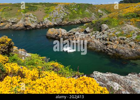Port Saint Nicolas sur l'Île de Groix, les bateaux se trouvent dans l'eau, les gorges se blogent sur les pentes, France, Bretagne, département du Morbihan Banque D'Images