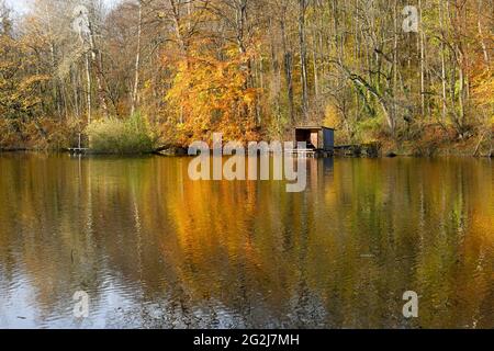 Allemagne, Rhénanie-Palatinat, Wörth, cabane des pêcheurs sur l'Altrheinarm. Banque D'Images