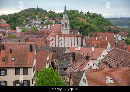 Vieille ville de Tübingen, toits, collégiale Banque D'Images