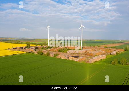 Allemagne, Saxe-Anhalt, Ditfurt, stockage de bois, troncs d'arbre, éoliennes Banque D'Images