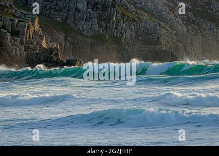 De hautes vagues se roulent sur la plage Pen Hat à Camaret, presqu'île de Crozon, France, Bretagne, département du Finistère