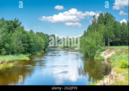 Rivière calme qui coule doucement à travers le paysage boisé. Paysage avec forêt sur la côte de la rivière, étang ou rivière en été. Photographie de paysage de la nature Banque D'Images