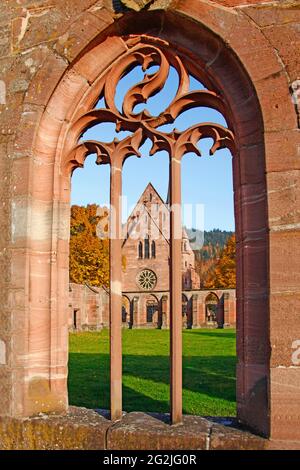 Ruines du monastère de Hirsau, ancien monastère bénédictin, construction du complexe Saint-Pierre-et-Paul à la fin du XIe siècle, Calw, district de Hirsau, Bade-Wurtemberg, Allemagne Banque D'Images