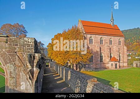 Ruines du monastère de Hirsau, cloître, Marienkapelle, ancien monastère bénédictin, construction du complexe Saint-Pierre et Paul à la fin du XIe siècle, Calw, district de Hirsau, Bade-Wurtemberg, Allemagne Banque D'Images