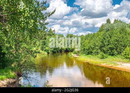 Rivière calme qui coule doucement à travers le paysage boisé. Paysage avec forêt sur la côte de la rivière, étang ou rivière en été. Photographie de paysage de la nature Banque D'Images