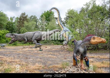 Dinosaures Tyrannosaurus, Diplodocus et Troodon en tant que modèles à Dinopark Münchehagen près de Hanovre. Le modèle T-Rex: Wild Creations UK / Universal Pictures DE Banque D'Images