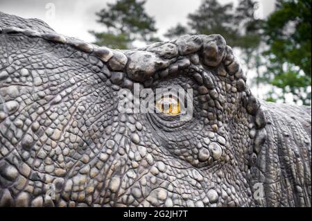 Le dinosaure Tyrannosaurus est un modèle à Dinopark Münchehagen près de Hanovre. Vécu en Amérique du Nord il y a environ 66 millions d'années, était d'environ 13m de long et pesait 6t. Modèle: Wild Creations UK / Universal Pictures DE Banque D'Images