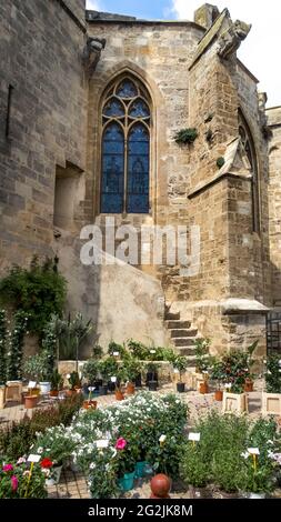 Église notre Dame de la Rominguière au printemps. Monument historique, le plus ancien bâtiment de Coursan, chapelle de chœur gothique des XIIe et XIIIe siècles. Banque D'Images