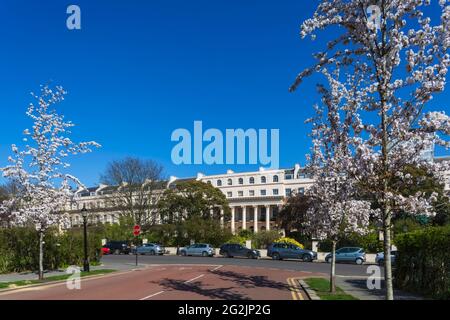 Angleterre, Londres, Regent's Park, Chester Road et Chester Terrace avec cerisier Blossom Fess in Bloom Banque D'Images