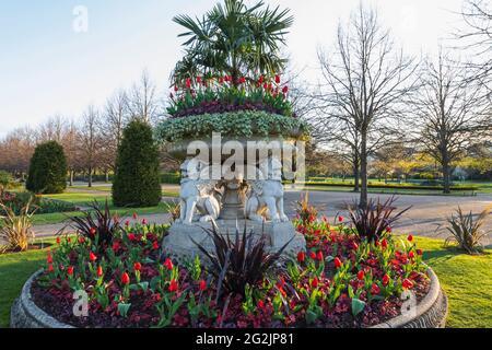 L'Angleterre, Londres, Regent's Park, l'Avenue des jardins, la Tazza Griffin (Lion) et Vase de fleurs de printemps Banque D'Images