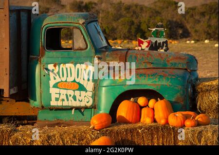 Un vieux camion ensoleillé se déplace dans une ferme de citrouilles juste à côté de l'autoroute 1, comté de Santa Cruz, Californie du Nord, États-Unis. © Kraig Lieb Banque D'Images