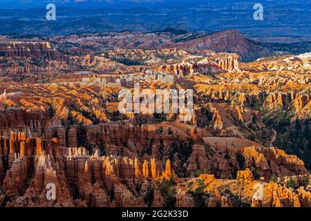 Le soleil de fin d'après-midi traverse la zone de l'amphithéâtre du parc national de Bryce Canyon, comté de Garfield, Utah, États-Unis. Banque D'Images