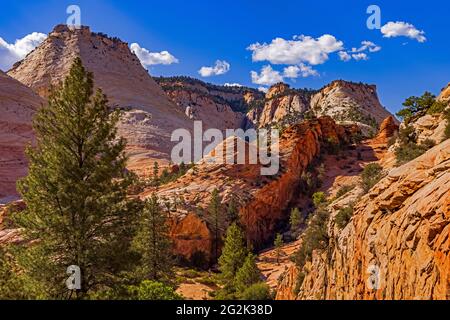 Vue sur les couleurs spectaculaires des parois du canyon le long de la State route 9, le Zion-Mt. Carmel Scenic Drive dans le parc national de Zion, Springdale, Utah. Banque D'Images