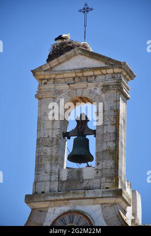 Cigognes nichant sur le clocher de la cathédrale de Faro, Algarve, Portugal Banque D'Images