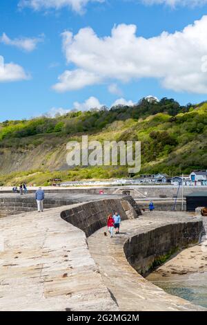 Le brise-lames de pierre connu sous le nom de Cobb dans le port de Lyme Regis sur la côte jurassique, Dorset, Royaume-Uni Banque D'Images