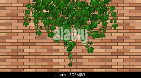 Mur de briques avec des feuilles de lierre tombant. Feuillage de lierre vert sur brique brune, mur de maison ou clôture. Motif d'arrière-plan de dessin animé. Illustration vectorielle Illustration de Vecteur