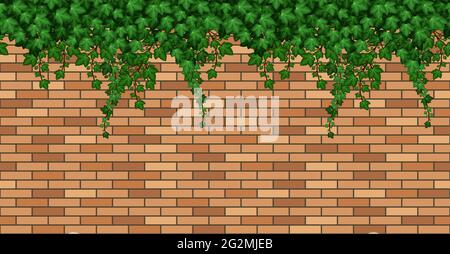 Mur de Birck avec feuilles de lierre. Feuillage de lierre vert d'été sur briques, mur de bâtiment ou clôture. Motif de répétition sans couture, arrière-plan de dessin animé. Vecteur illustrat Illustration de Vecteur