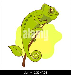 Mignon caméléon sur l'illustration de vecteur de branche Illustration de Vecteur