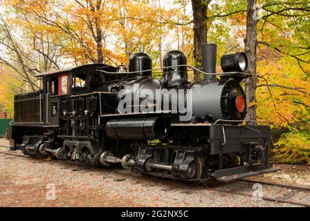 Feuilles d'automne colorées et vieille locomotive à vapeur à engrenage classique autrefois utilisée pour le transport de grumes récoltées dans les White Mountains du New Hampshire. Banque D'Images