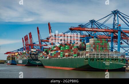 Eurogate Container terminal dans le port de Hambourg - vue aérienne - VILLE DE HAMBOURG, ALLEMAGNE - 10 MAI 2021 Banque D'Images