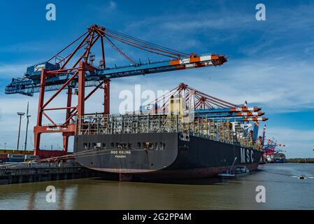 Eurogate Container terminal dans le port de Hambourg - vue aérienne - VILLE DE HAMBOURG, ALLEMAGNE - 10 MAI 2021 Banque D'Images