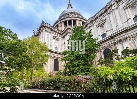 LONDRES ANGLETERRE ST.PAUL'S CATHEDRAL GARDEN ET RED ROSES AU PRINTEMPS Banque D'Images