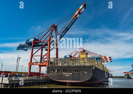 Eurogate Container terminal dans le port de Hambourg - vue aérienne - VILLE DE HAMBOURG, ALLEMAGNE - 10 MAI 2021 Banque D'Images