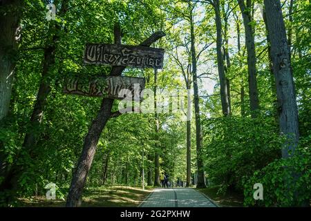 Gierlz, Pologne 2, juin 2021 personnes visitant l'époque de la Seconde Guerre mondiale Adolf Hitler les quartiers cachés dans une forêt près de Gierlz, Pologne, sont vus le 3 juin 2021 r Wolf's Lair (ger. Wolfsschanze) des ruines du quartier général d'Adolf Hilter était une ville cachée dans les bois composée de 200 bâtiments : abris, casernes, 2 aéroports, une centrale électrique, une gare ferroviaire, Climatiseurs, approvisionnement en eau, centrales thermiques et deux téléimprimeurs crédit: Vadim Pacajev/Alamy Live News Banque D'Images