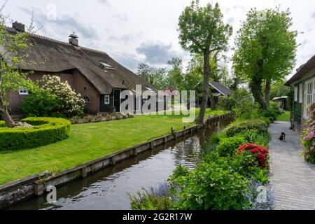 Giethoorn, pays-Bas - 23 mai 2021 : vue sur le village pittoresque de Giethoorn aux pays-Bas avec ses maisons pittoresques et ses nombreux canaux Banque D'Images