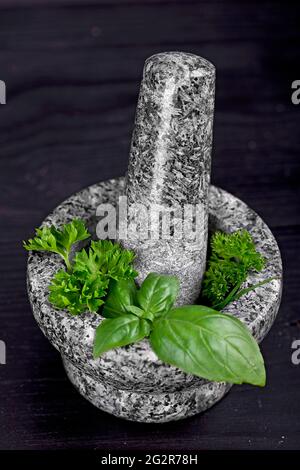 herbes fraîches dans un mortier en pierre sur une table en bois noir Banque D'Images