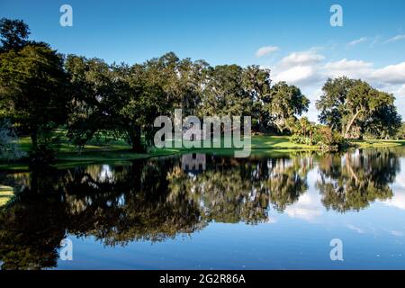 Une vue panoramique sur la rivière Ashely avec des reflets sur l'eau fixe Banque D'Images