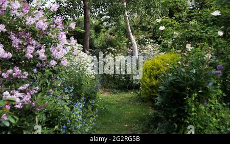 Bloomin 'Lovely - un jardin de campagne en mai Banque D'Images