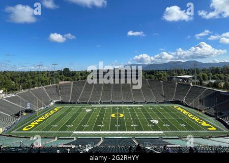 Une vue générale du logo des Canards de l'Oregon à Midfield au stade Autzen sur le campus de l'Université de l'Oregon, le mercredi 9 juin 2021, à Eugene, Our. Banque D'Images