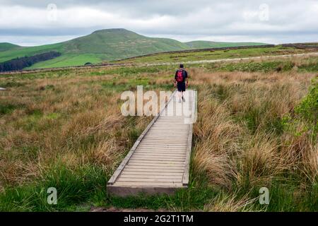 Homme marchant sur des planches de canard vers la mini-montagne de Cheshire Shutlingsloe dans le quartier de White Peak Banque D'Images