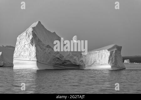 Photo en noir et blanc d'un énorme iceberg flottant au crépuscule avec lune au milieu, Scoresby Sund, Kangertittitaq, Groenland, Danemark Banque D'Images