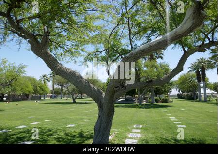 Cathedral City, Californie, Etats-Unis 10 juin 2021 UNE vue générale de l'atmosphère du Desert Memorial Park au 31-705 Da Vall Drive à Cathedral City, Californie, Etats-Unis. Photo par Barry King/Alay stock photo Banque D'Images