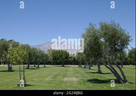 Cathedral City, Californie, Etats-Unis 10 juin 2021 UNE vue générale de l'atmosphère du Desert Memorial Park au 31-705 Da Vall Drive à Cathedral City, Californie, Etats-Unis. Photo par Barry King/Alay stock photo Banque D'Images