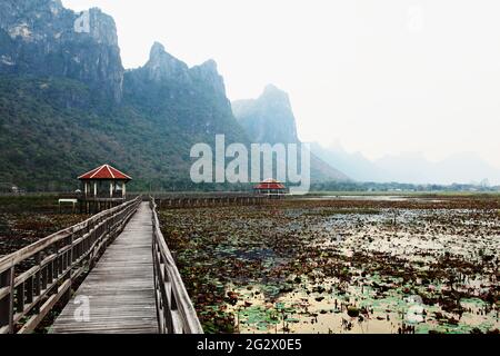 Marais au parc national Khao Sam Roi Yot , pont en bois et pavillon avec la montagne calcaire, le chemin sur le lagon, une des principales attractions Banque D'Images