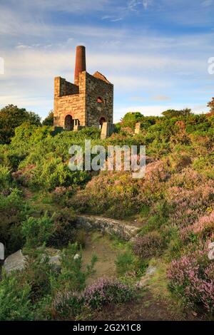 Une maison de moteur à Wheal Peevor près de Redruth dans les Cornouailles. Banque D'Images